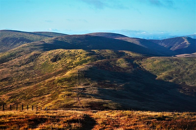 montage of local images